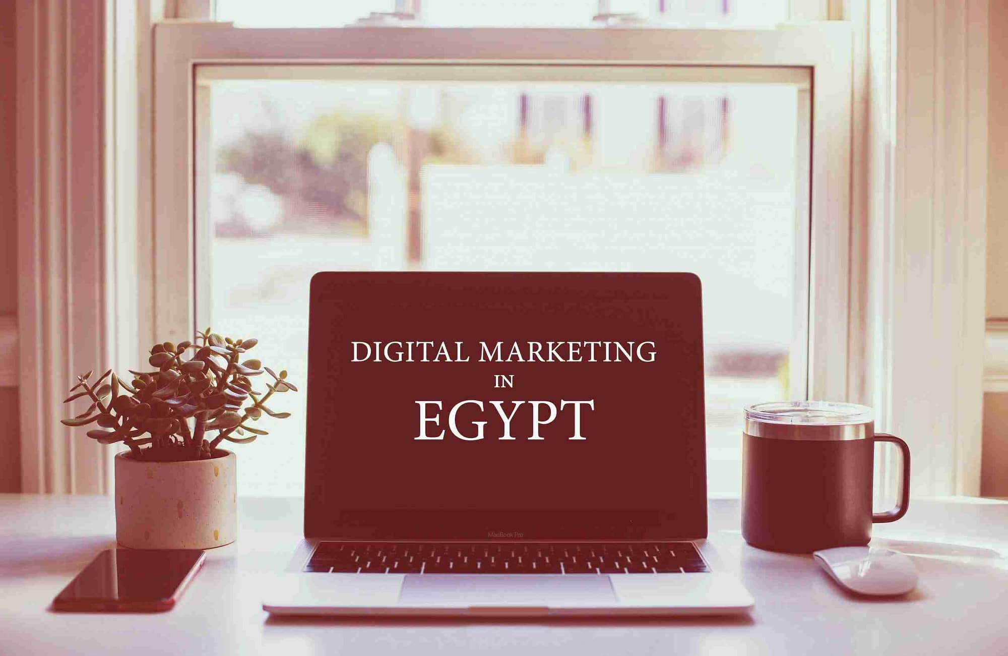 digital marketing in egypt